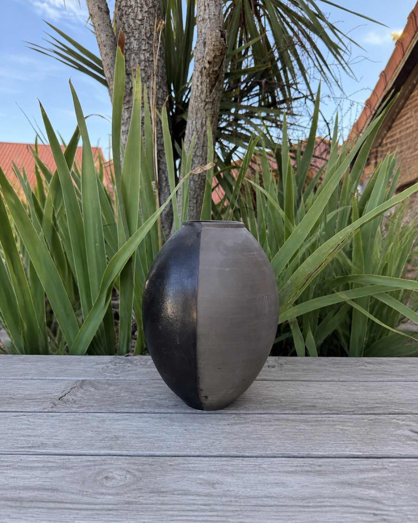 FA151 Beck Noire isolée dans le décor naturel de Saon
