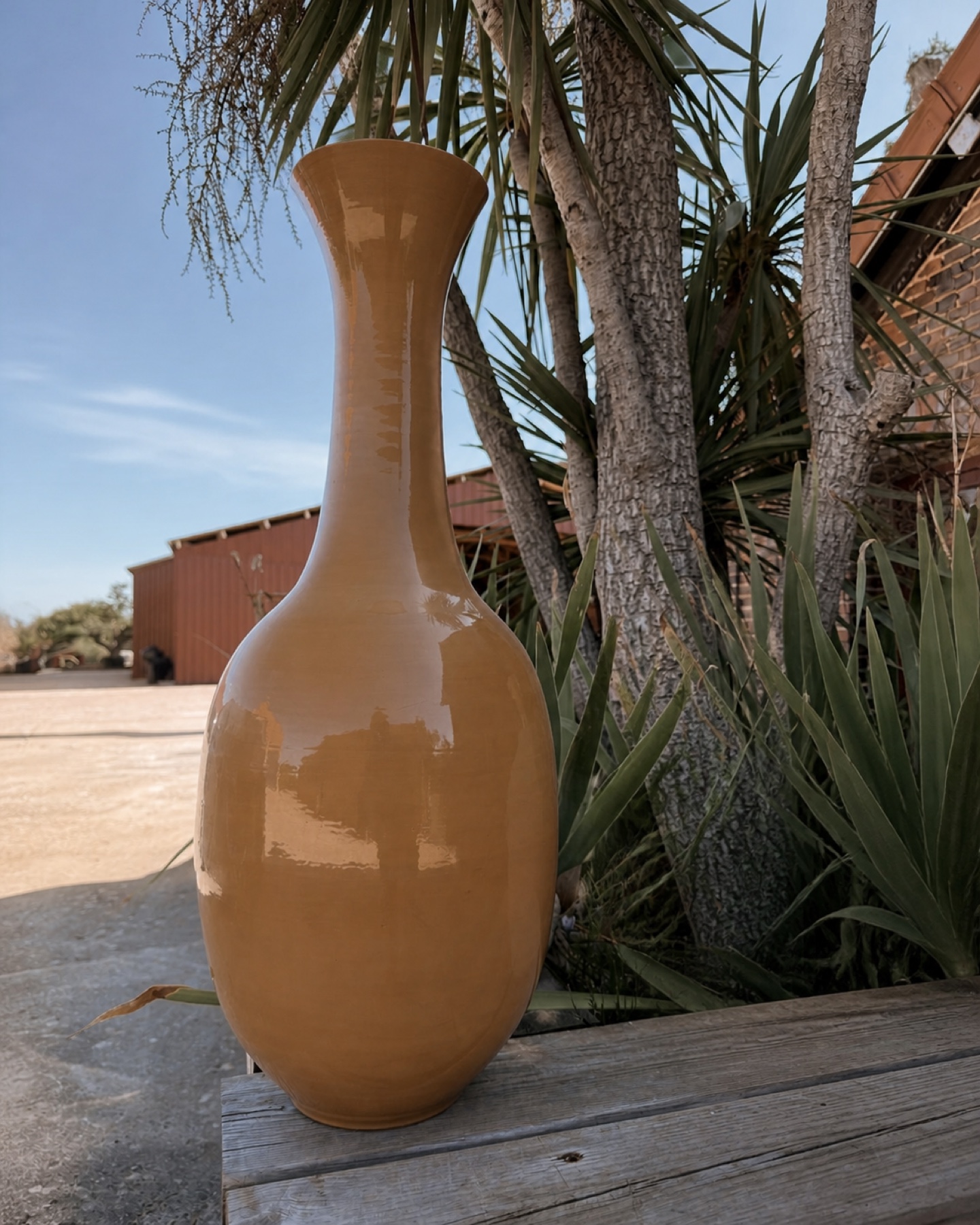 FA160 Beck Ocre isolée dans le décor naturel de Saon