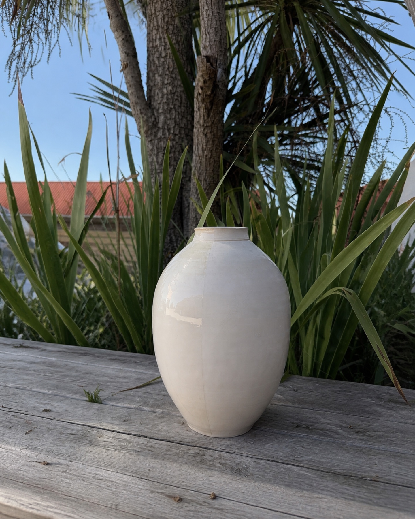 FA324 Beck Extra White isolated in the natural Saon setting